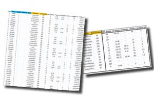 rapports rapports